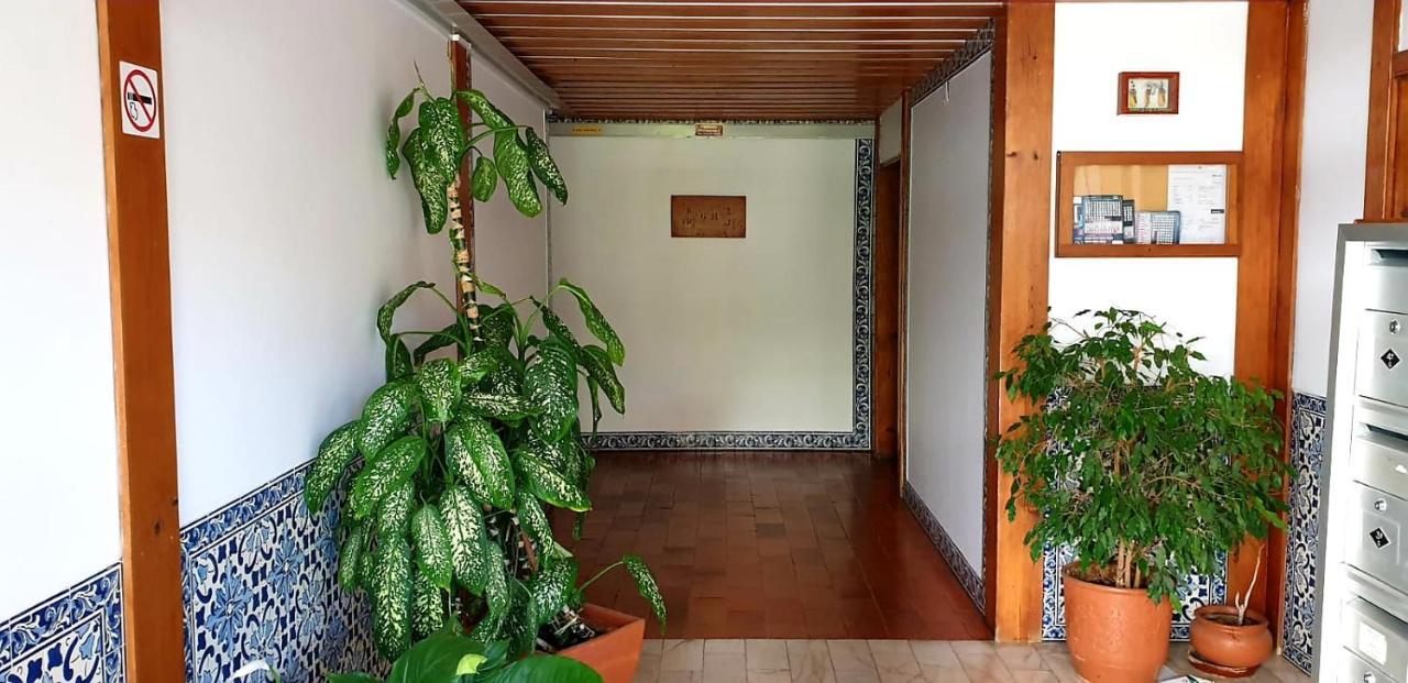 Sunny Setubal Apartments 외부 사진